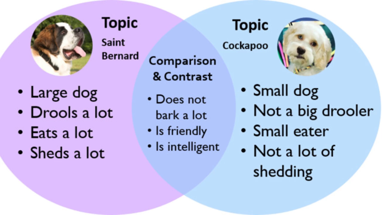 What's the difference between 'content' and 'media'?